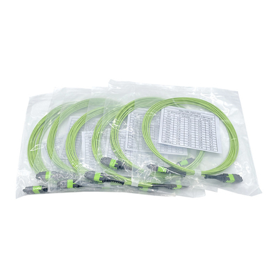 Dây cáp quang KEXINT 12 Core OM5 Đa chế độ 2.0mm 5M Loại B