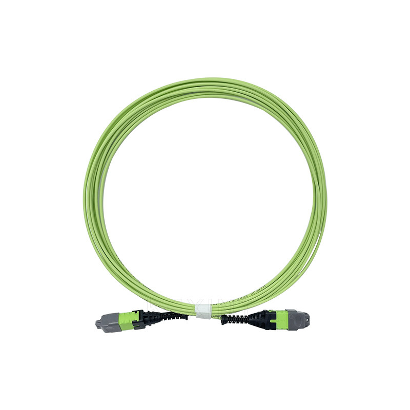 Dây cáp quang KEXINT 12 Core OM5 Đa chế độ 2.0mm 5M Loại B